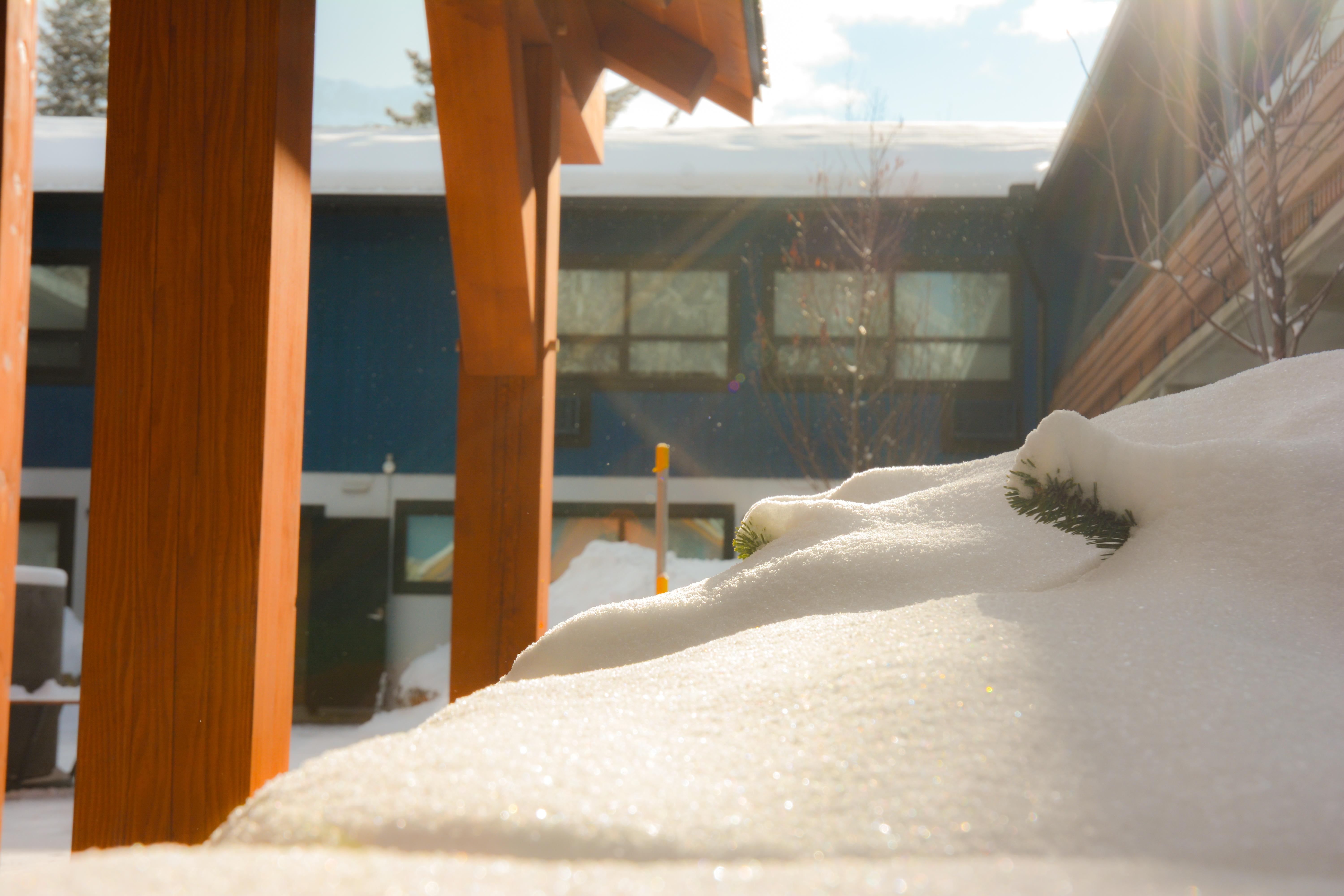 The Dorothy Motel Banff Exterior foto